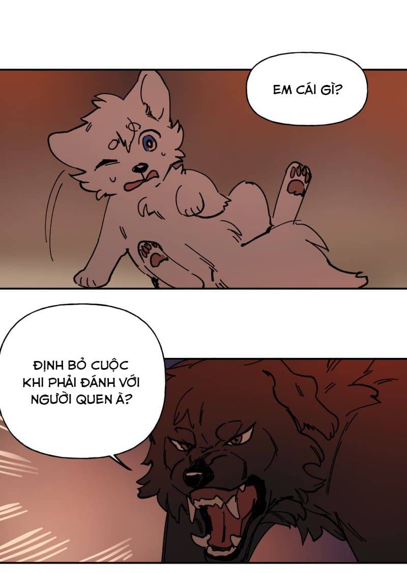 Lumine - Chương 113