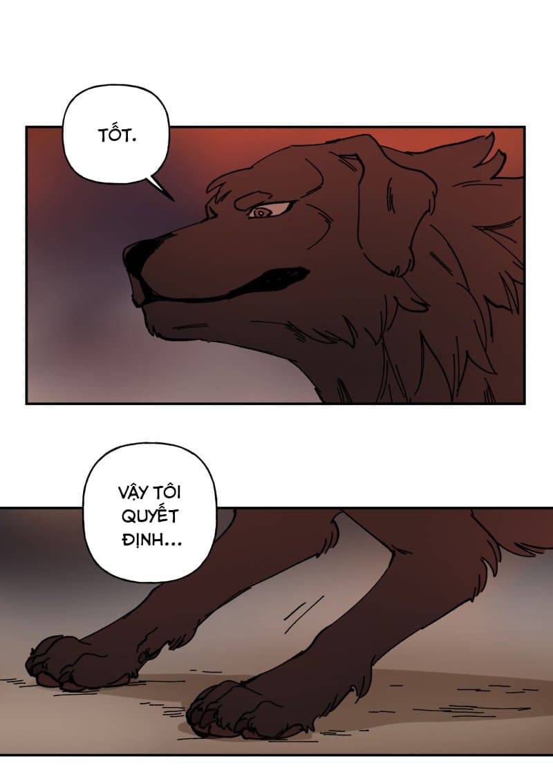 Lumine - Chương 113