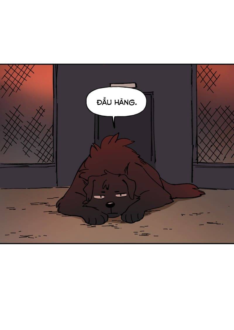 Lumine - Chương 113