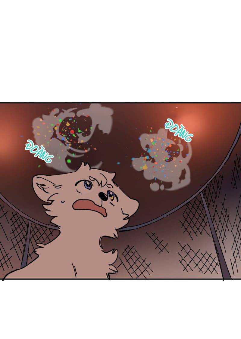 Lumine - Chương 113