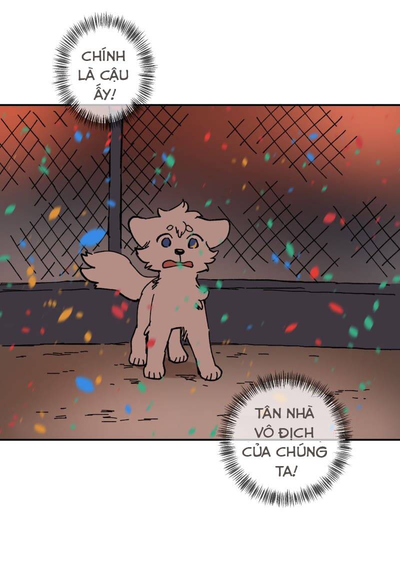 Lumine - Chương 113