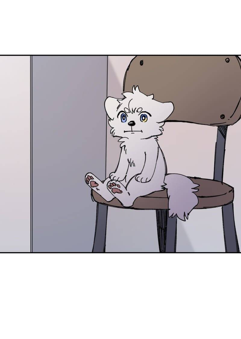 Lumine - Chương 113