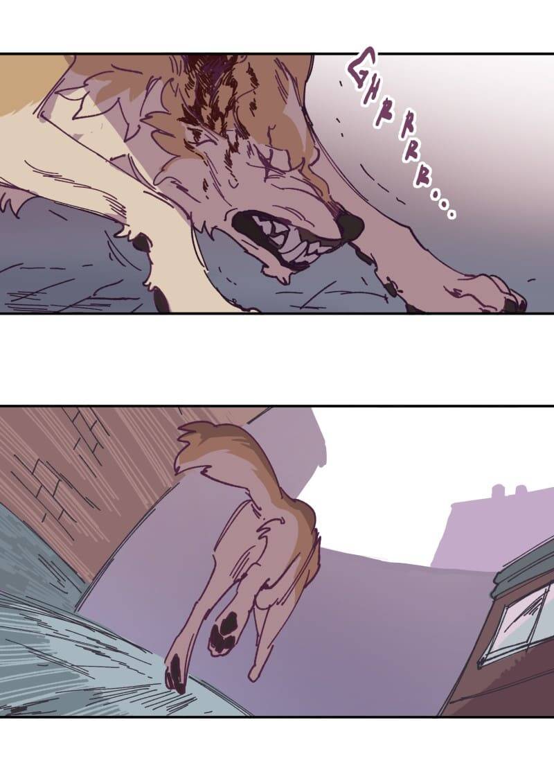 Lumine - Chương 115