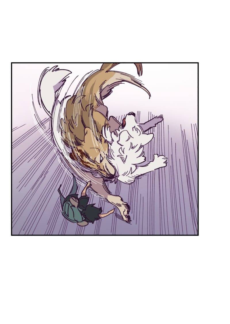 Lumine - Chương 115