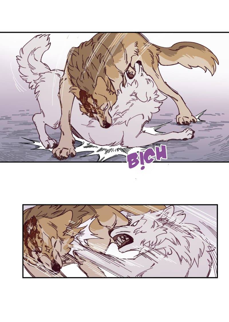 Lumine - Chương 115