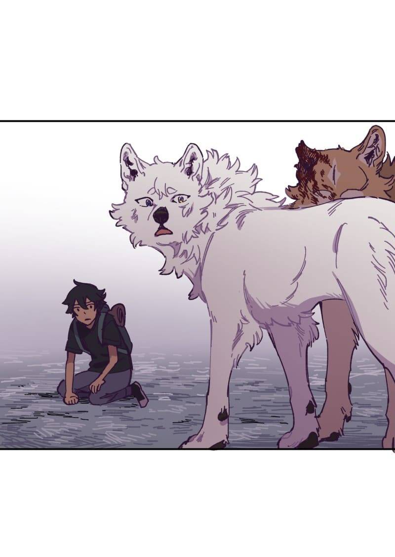 Lumine - Chương 115