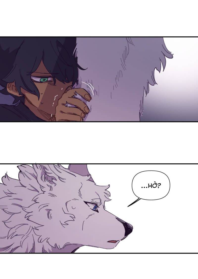 Lumine - Chương 116