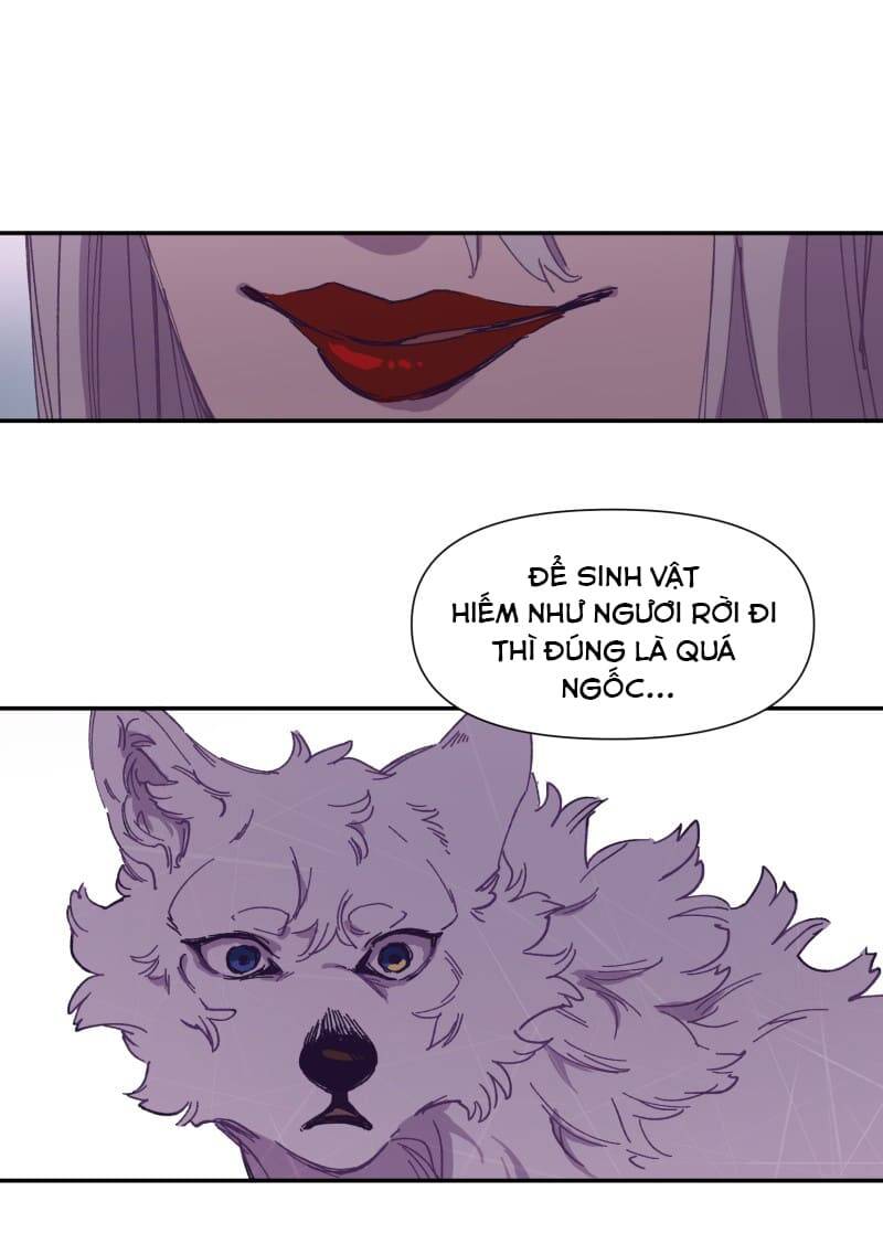 Lumine - Chương 116