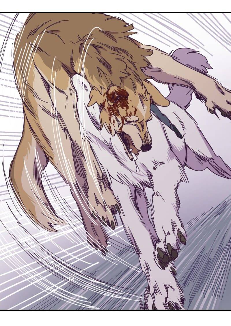 Lumine - Chương 116