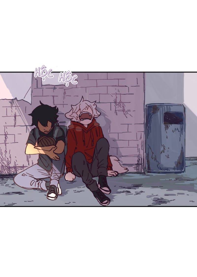 Lumine - Chương 117