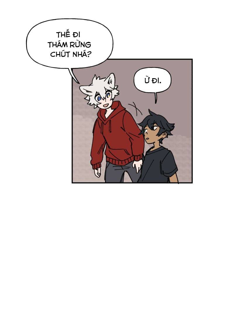 Lumine - Chương 126