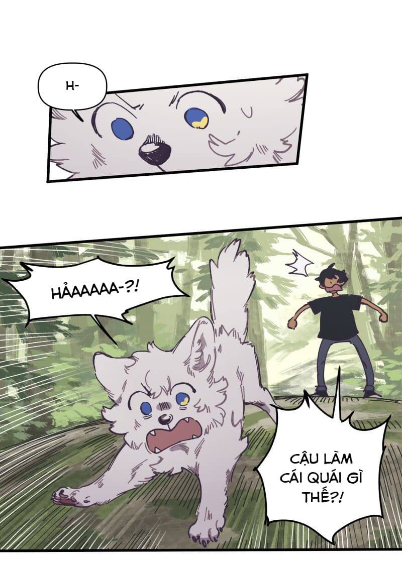 Lumine - Chương 127