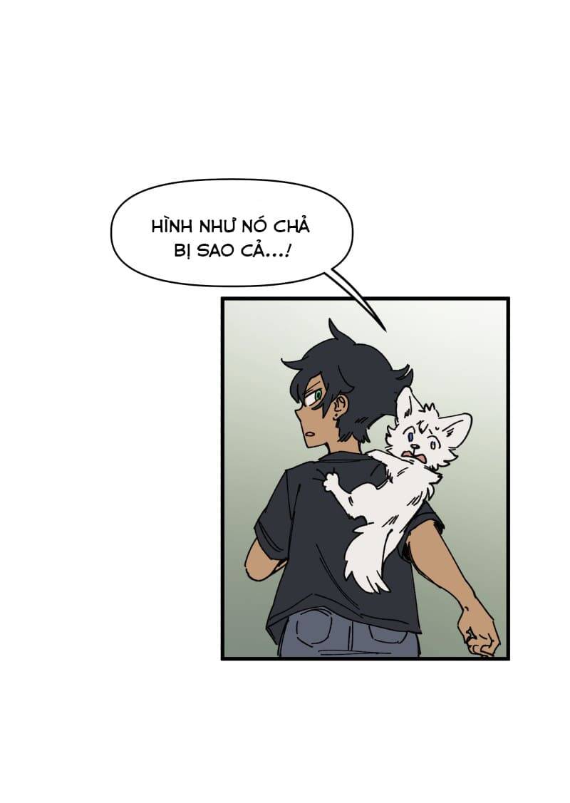 Lumine - Chương 127