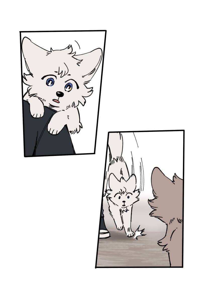 Lumine - Chương 128