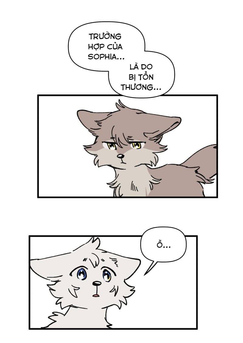 Lumine - Chương 129