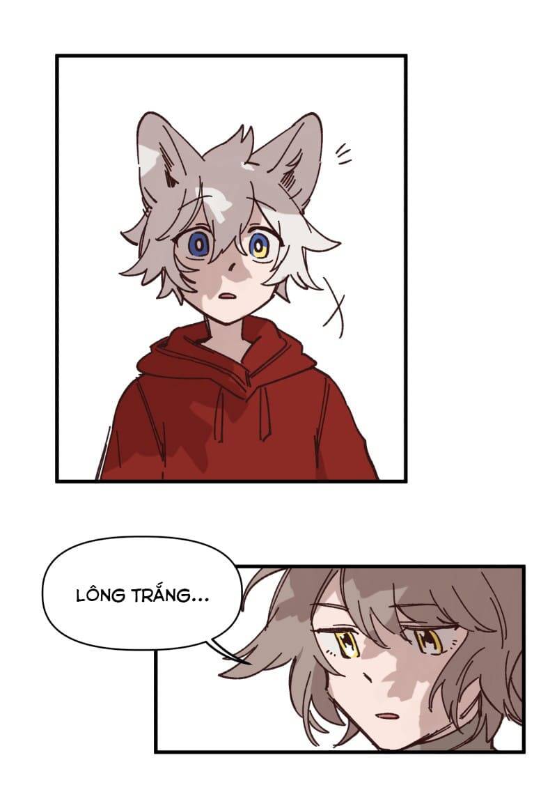 Lumine - Chương 130