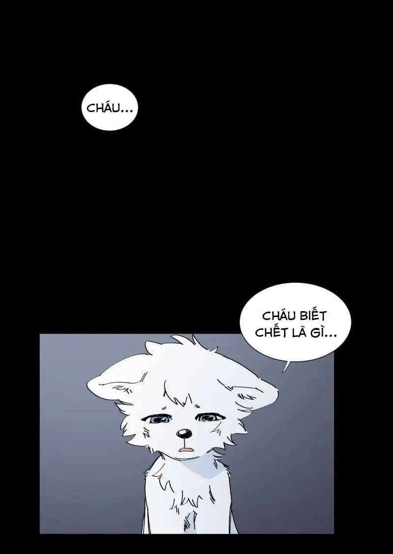 Lumine - Chương 65