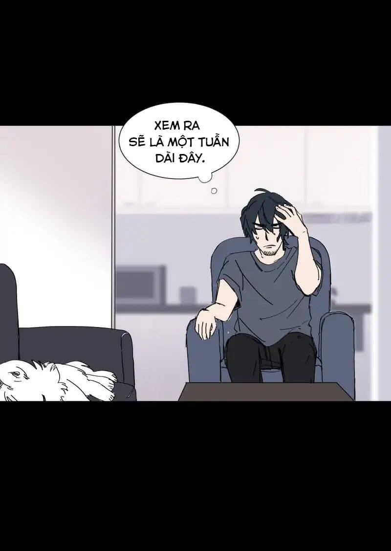 Lumine - Chương 65