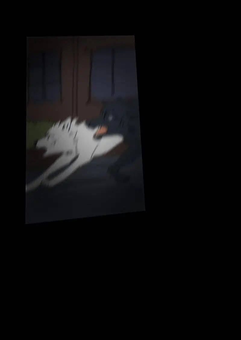 Lumine - Chương 67