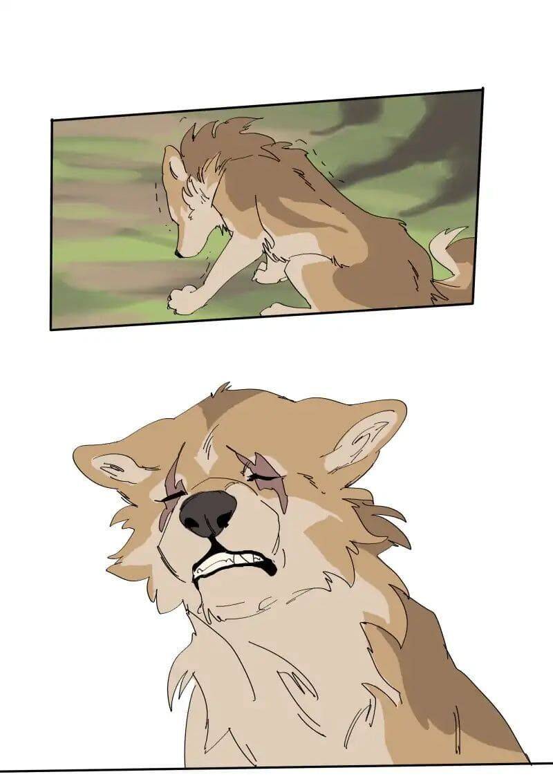 Lumine - Chương 68