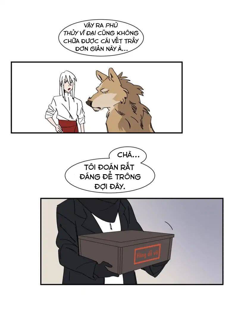 Lumine - Chương 71