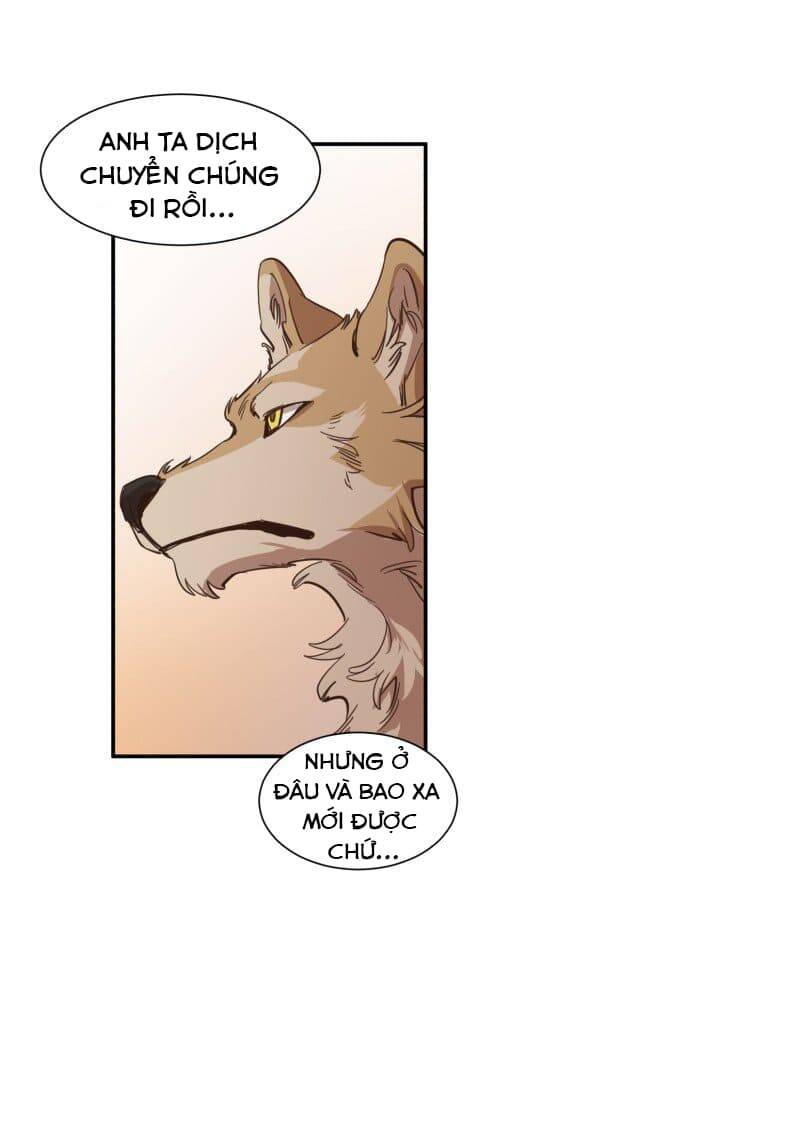 Lumine - Chương 73