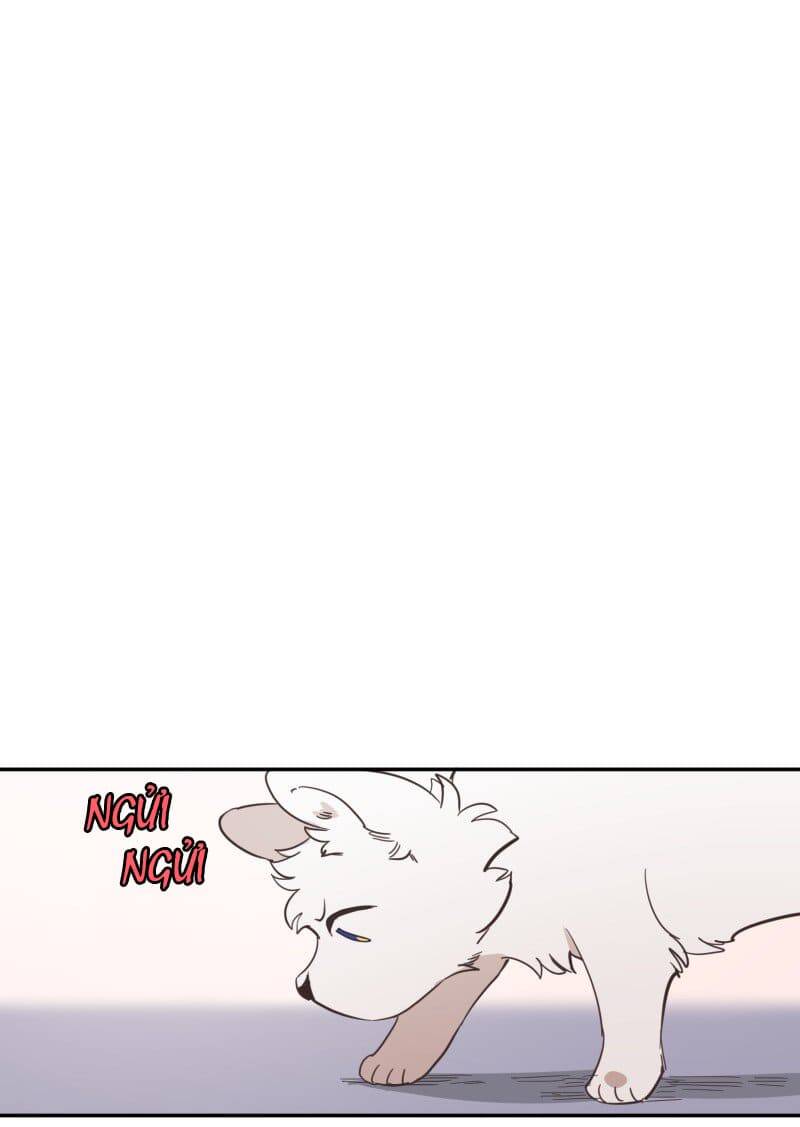 Lumine - Chương 73