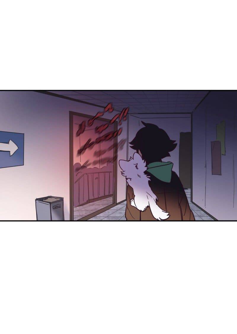 Lumine - Chương 73