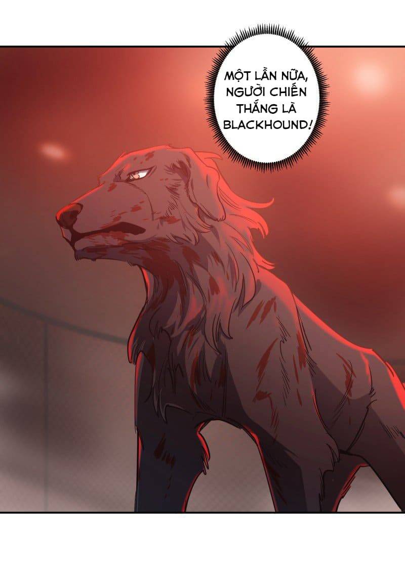 Lumine - Chương 74