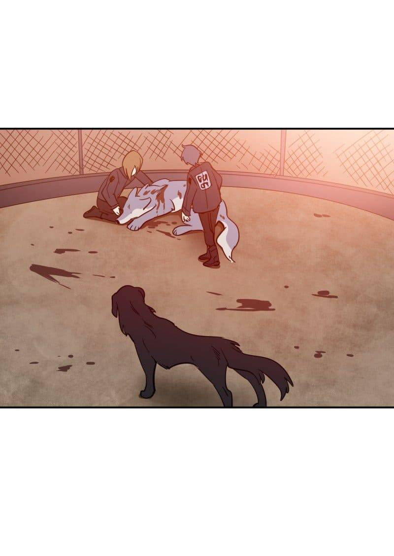 Lumine - Chương 74