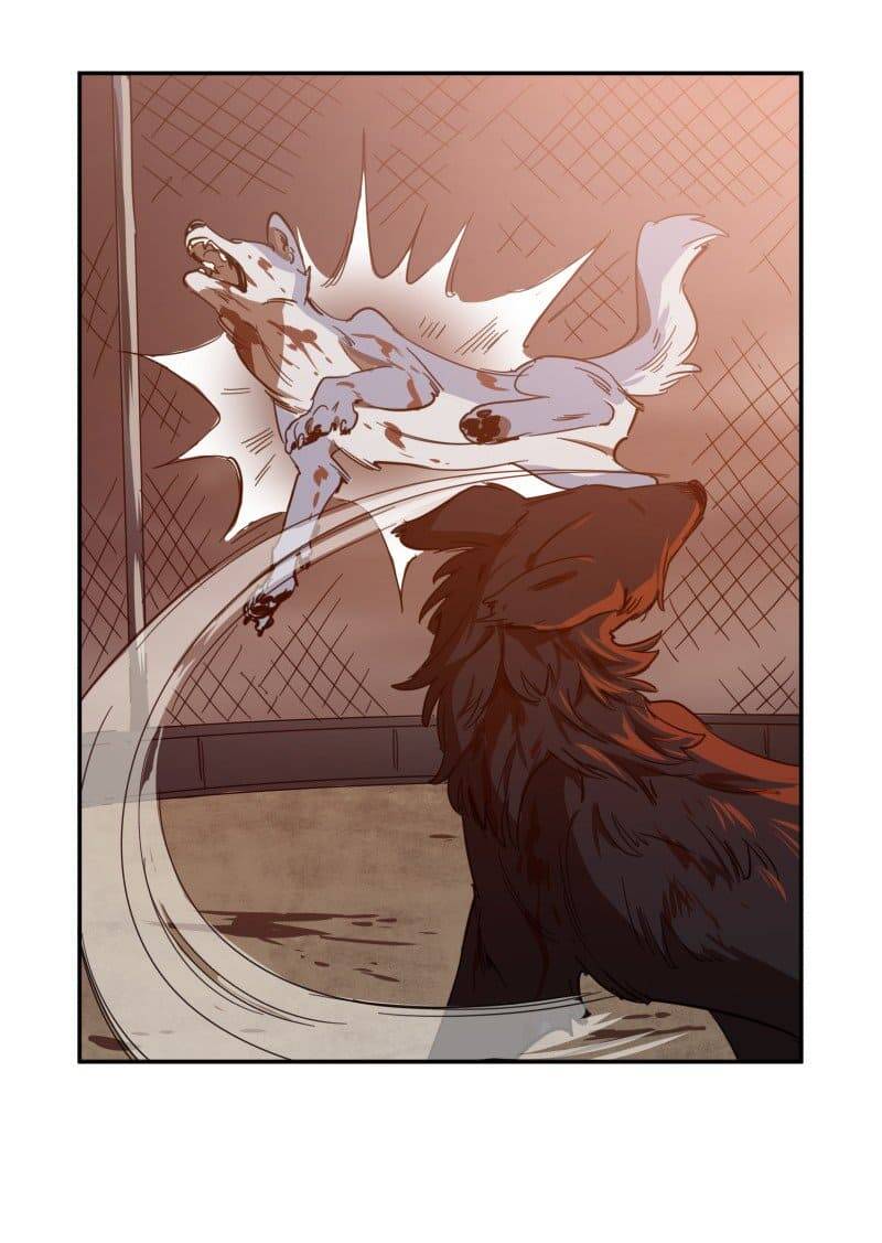 Lumine - Chương 74