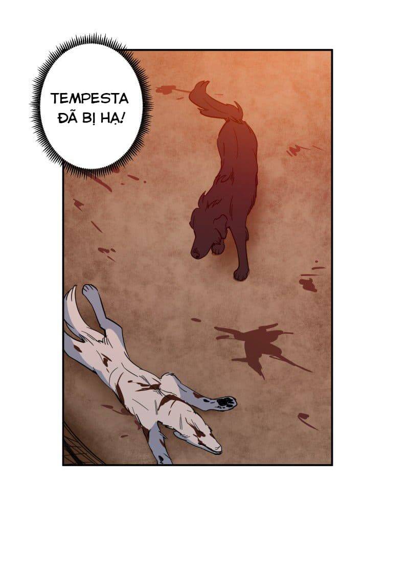 Lumine - Chương 74