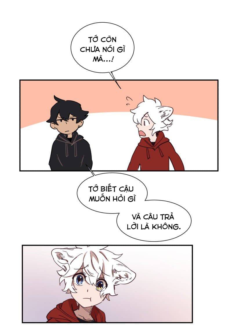 Lumine - Chương 76