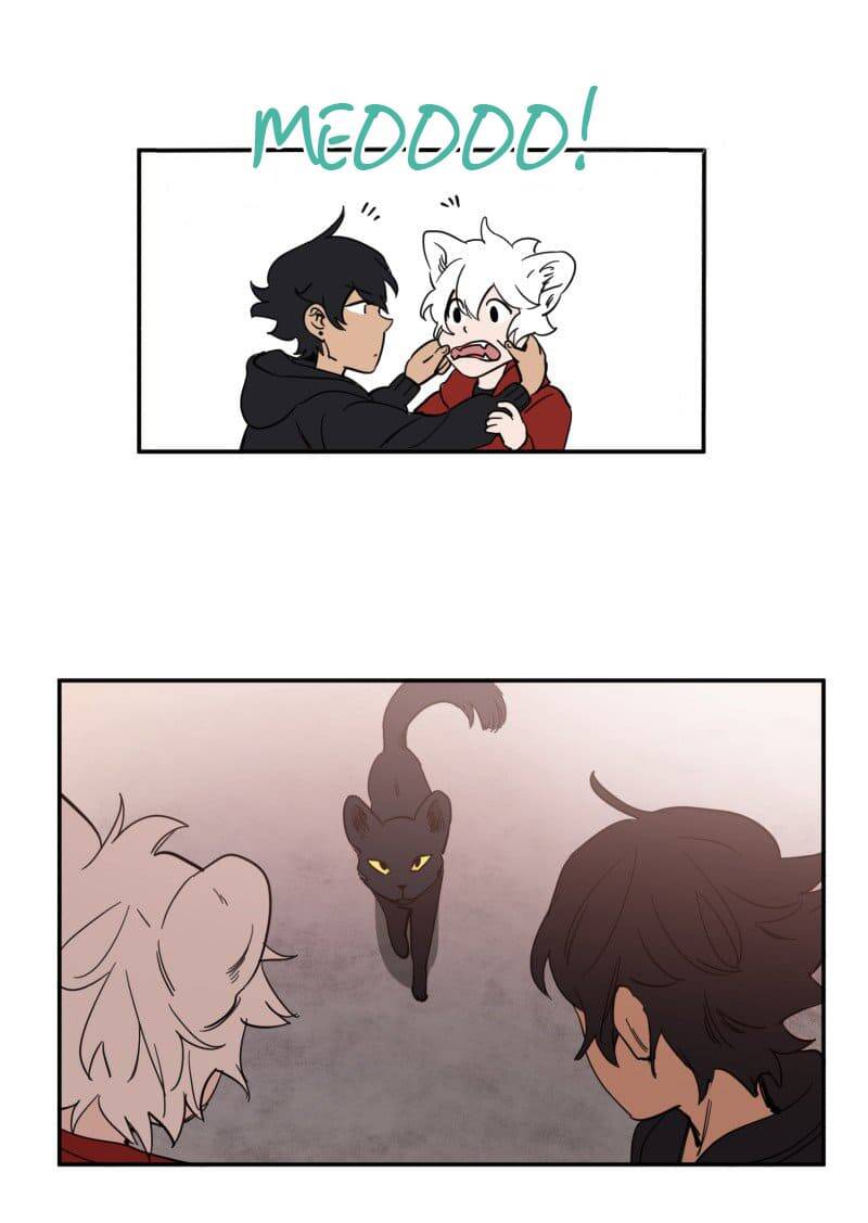 Lumine - Chương 76