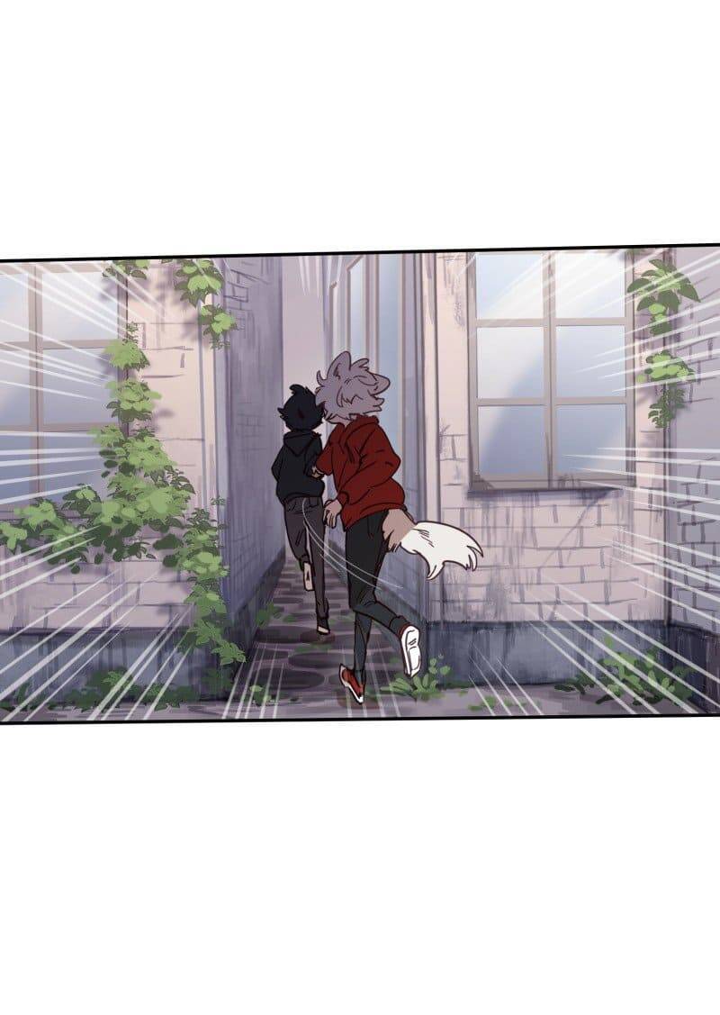 Lumine - Chương 77