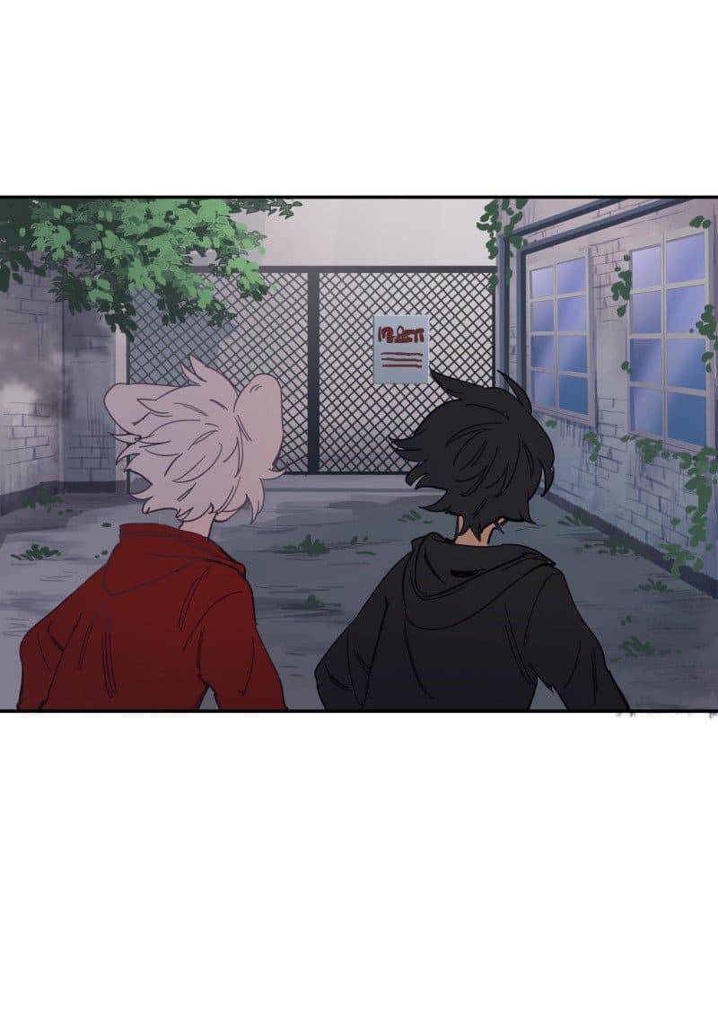 Lumine - Chương 77