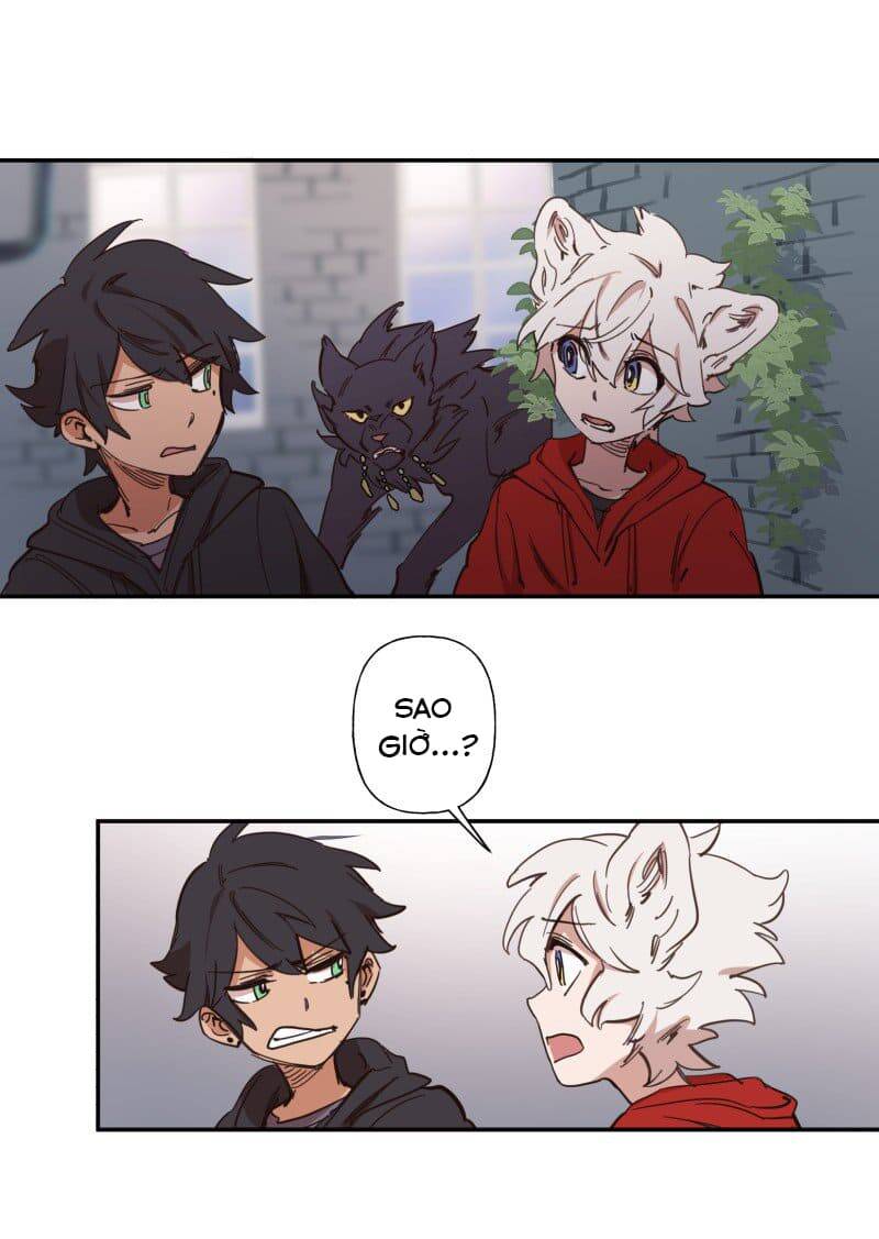 Lumine - Chương 77