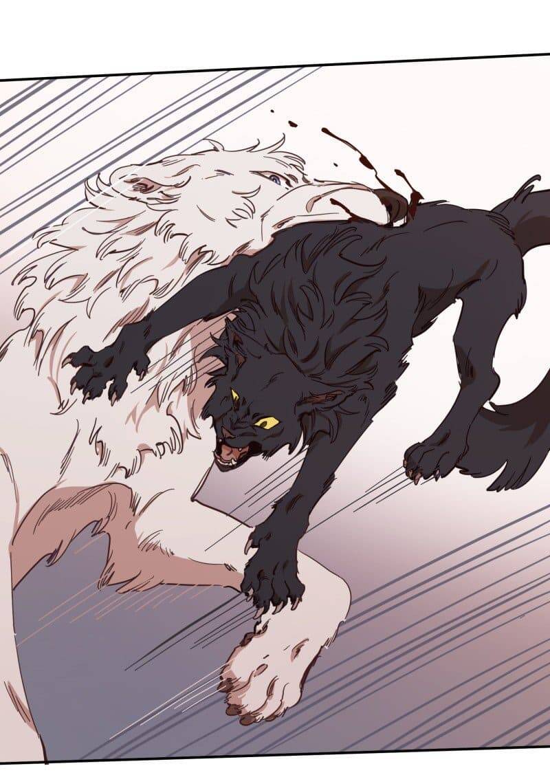 Lumine - Chương 77