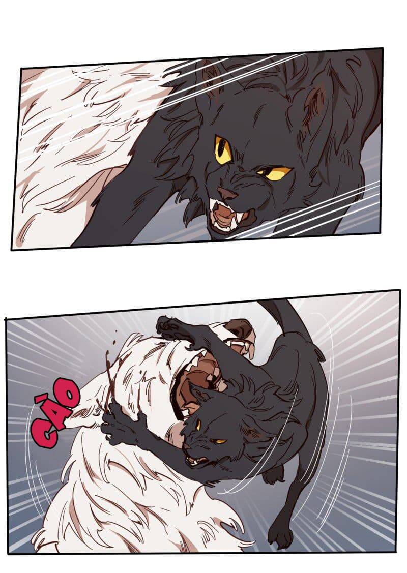 Lumine - Chương 77