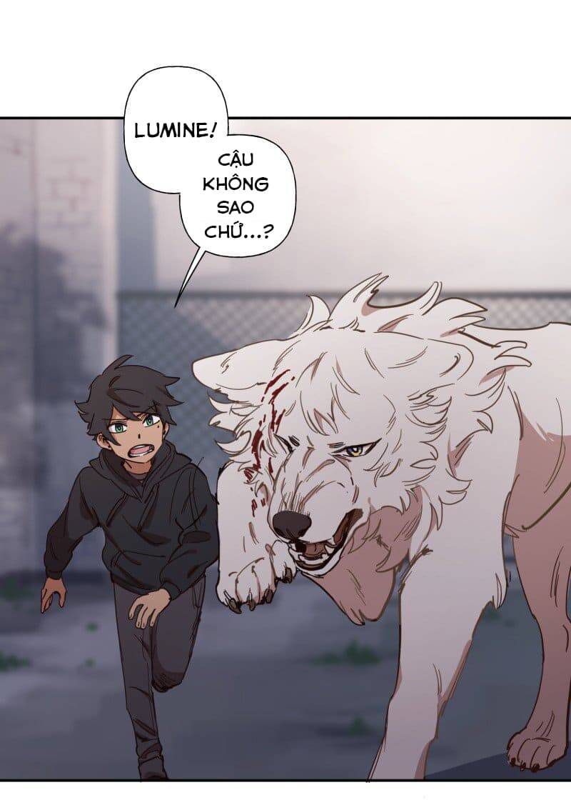 Lumine - Chương 77