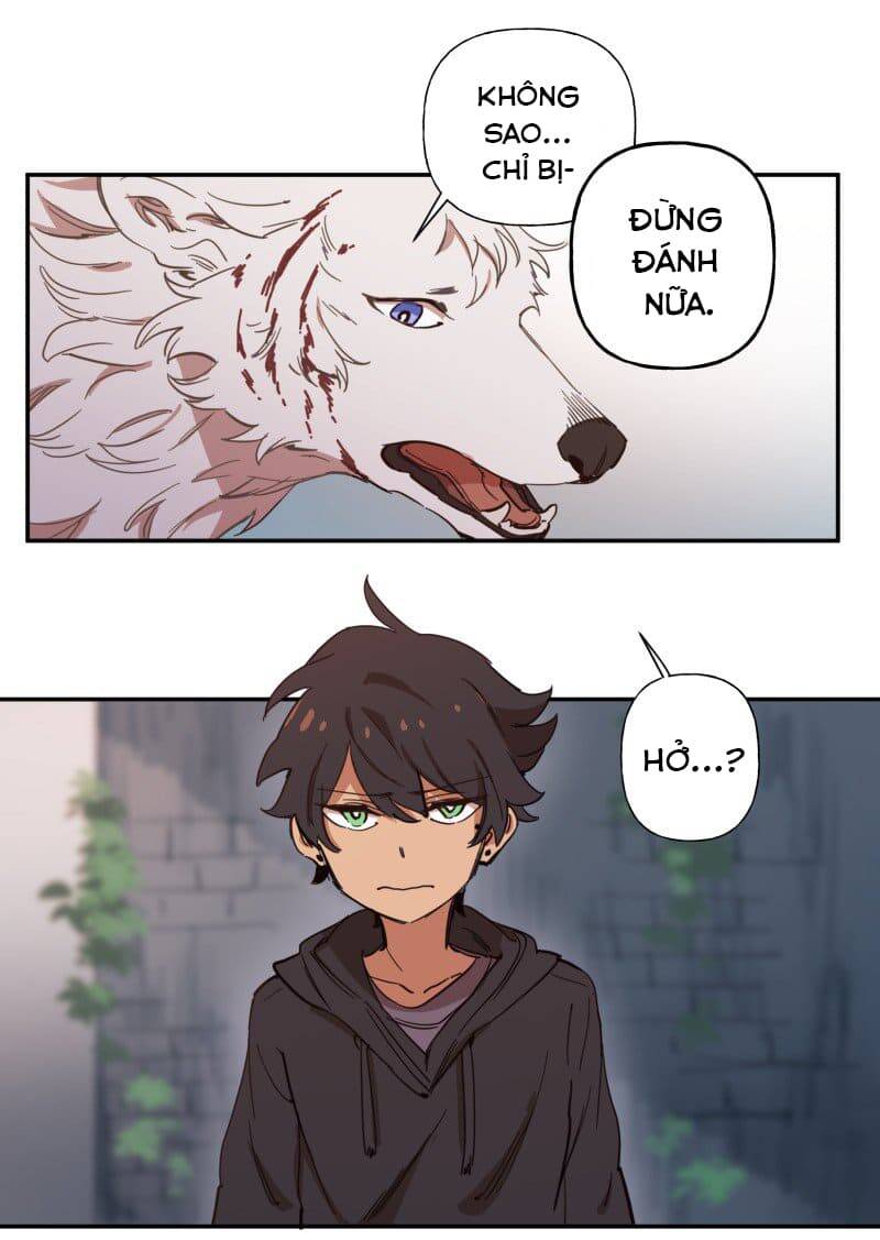 Lumine - Chương 77