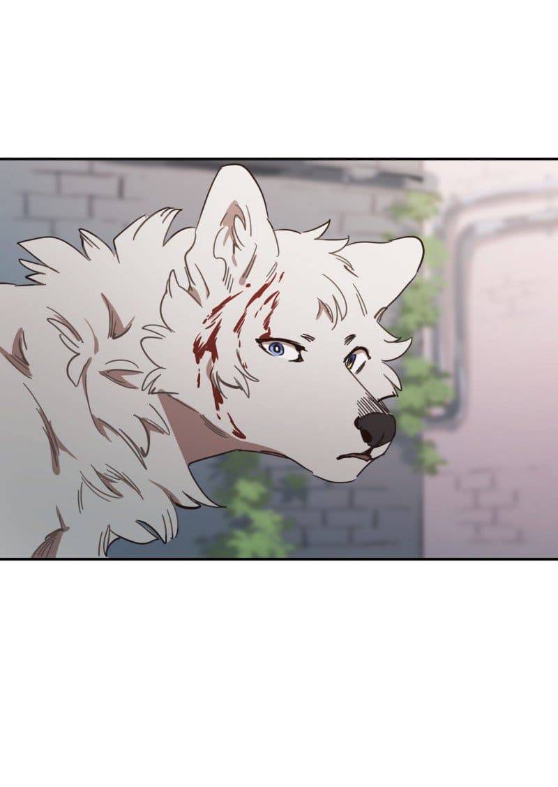 Lumine - Chương 78