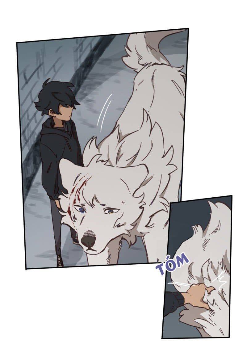 Lumine - Chương 78