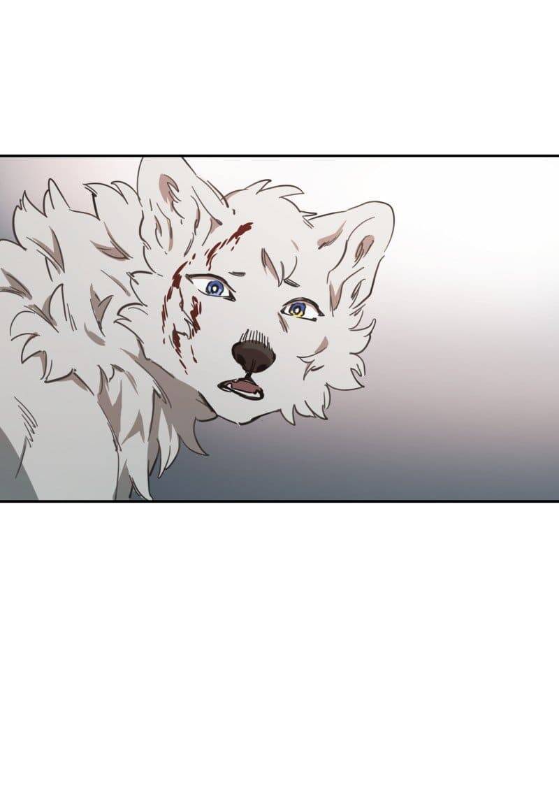 Lumine - Chương 78