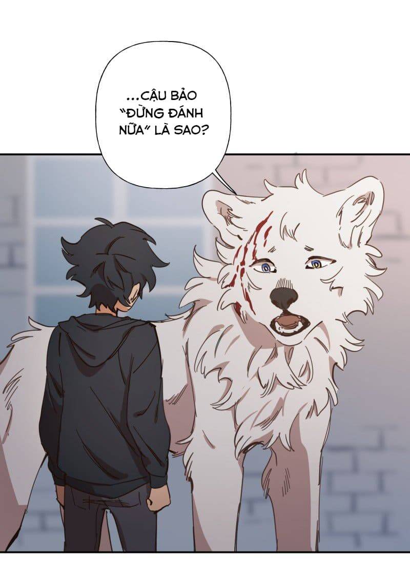 Lumine - Chương 78