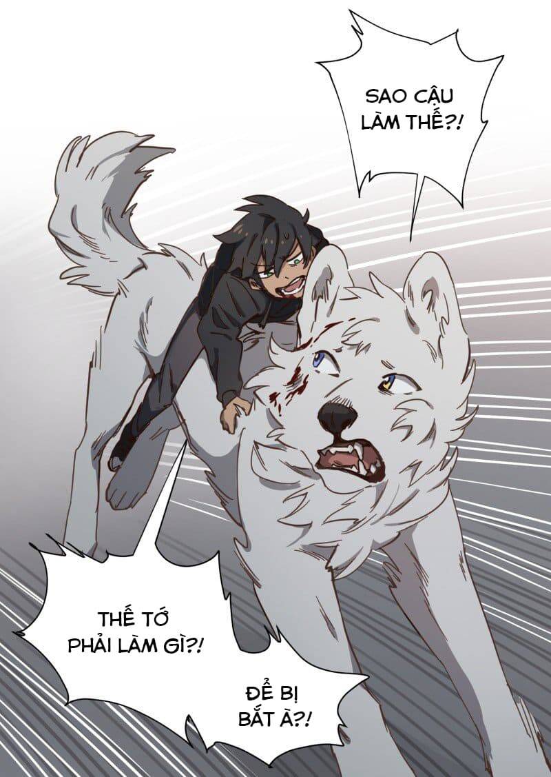 Lumine - Chương 78