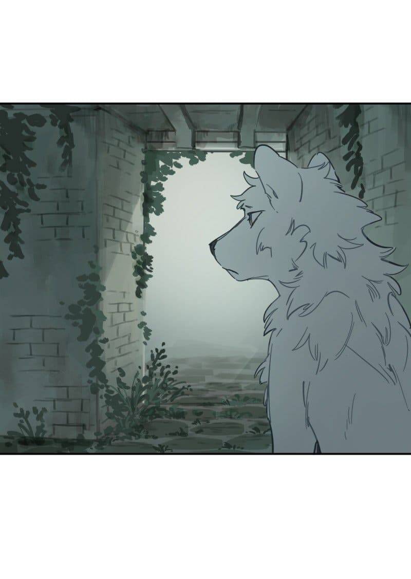 Lumine - Chương 78