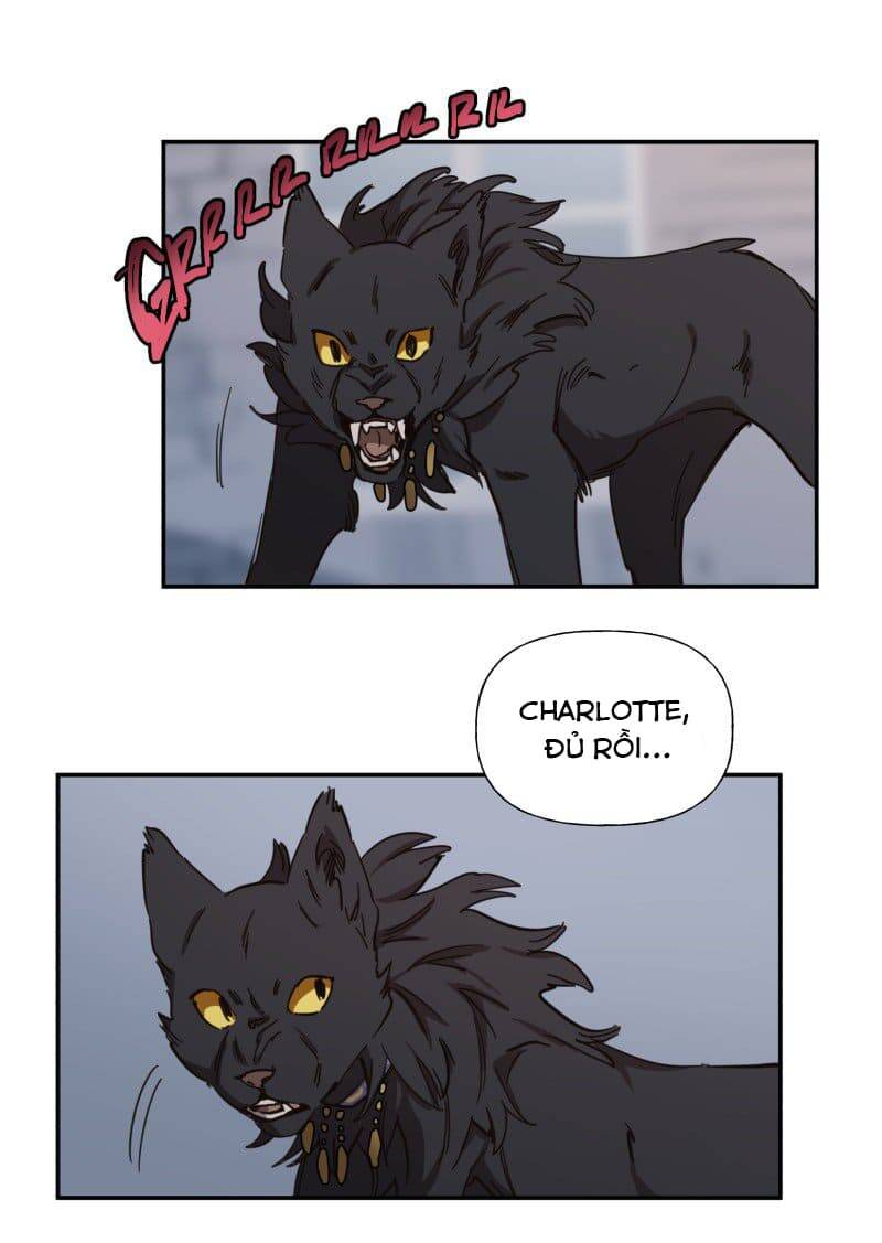 Lumine - Chương 78