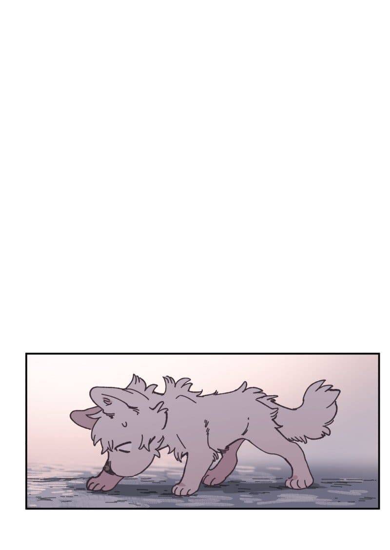 Lumine - Chương 81