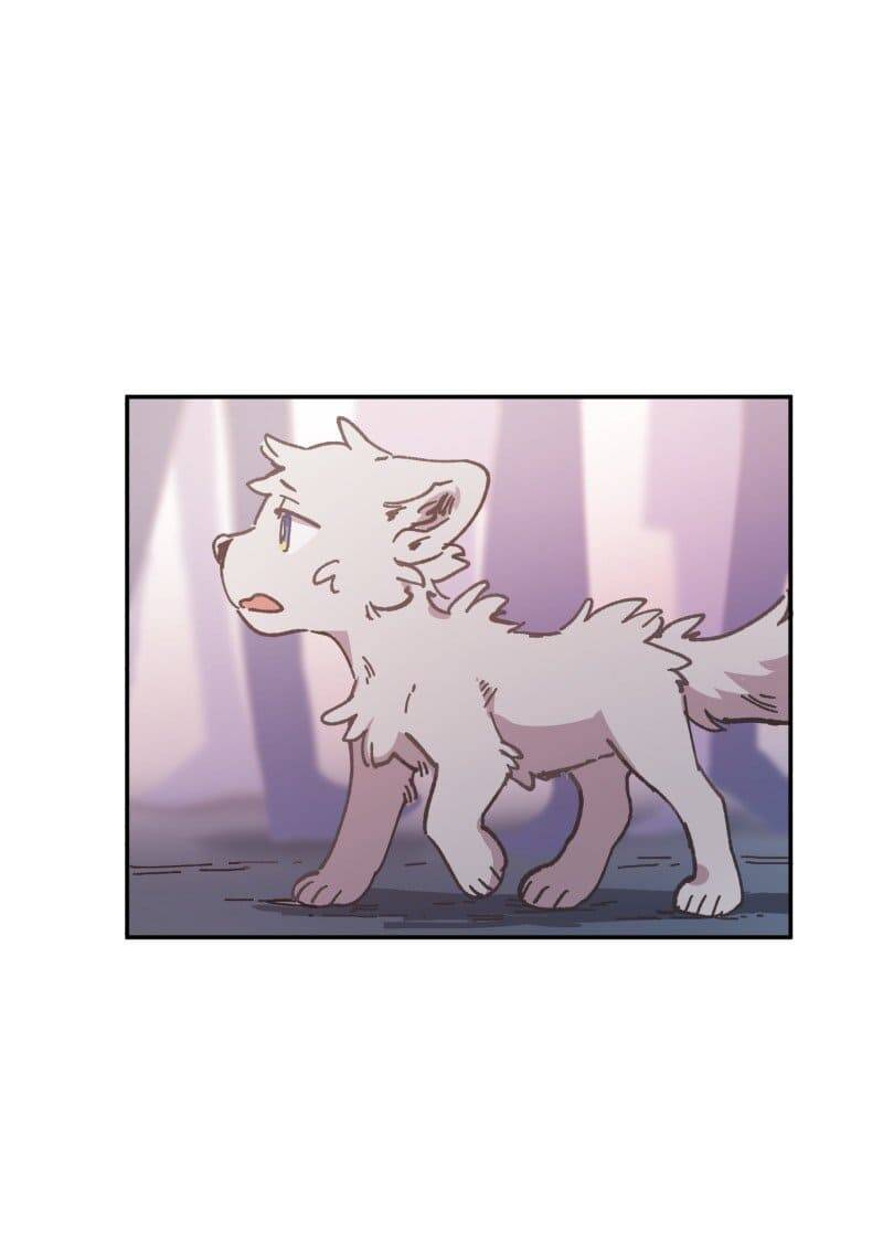 Lumine - Chương 81